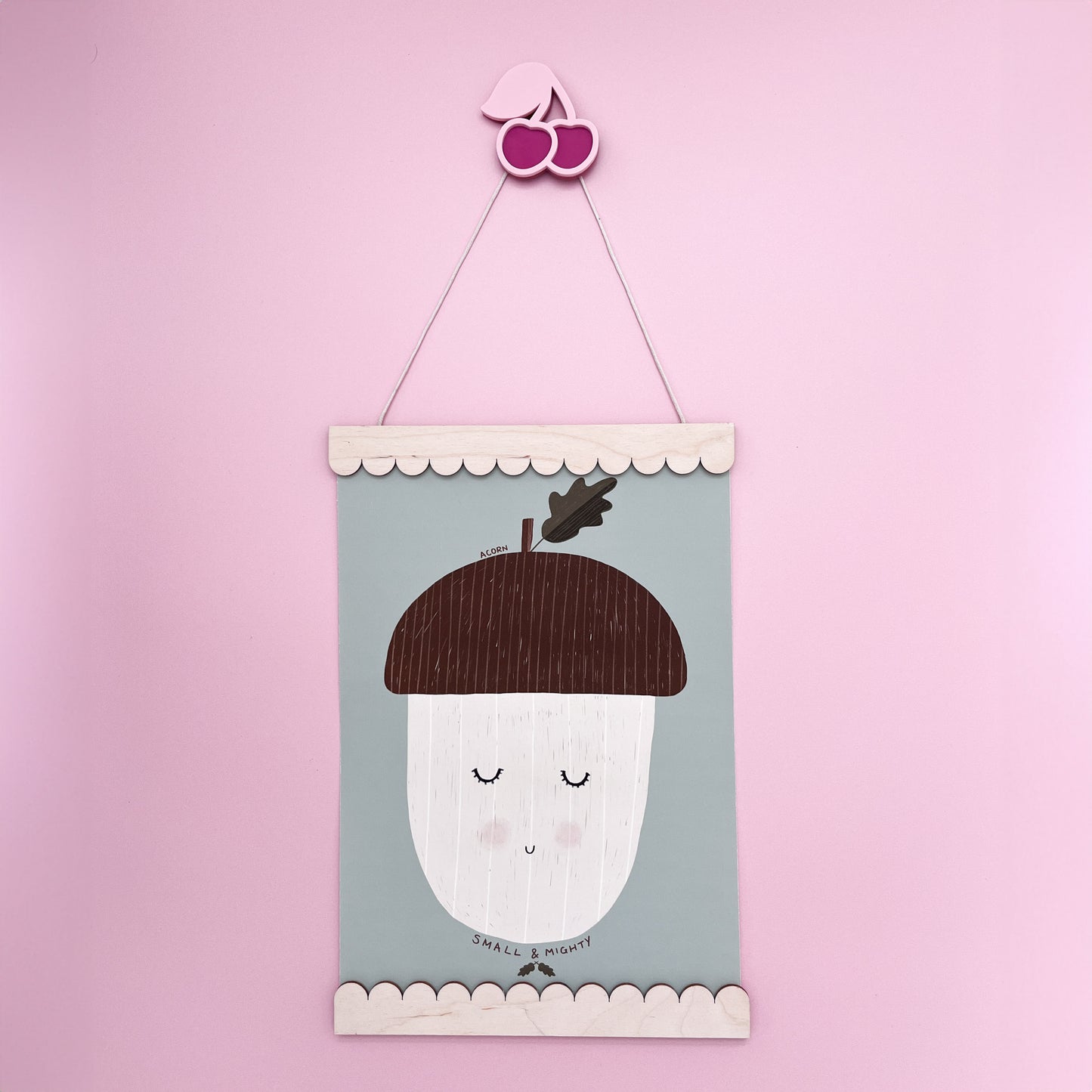 Outlined Acrylic Wall Hook