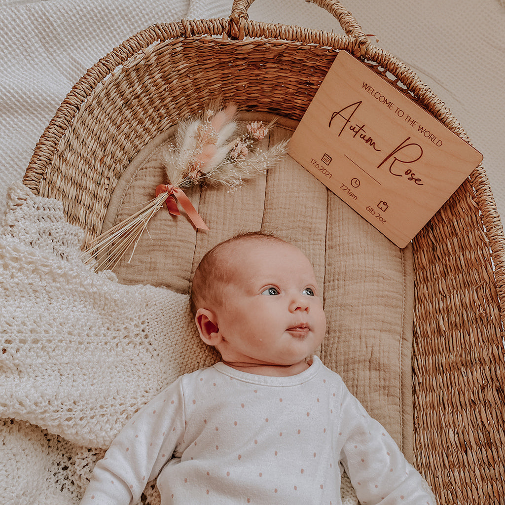 Welcome to the World Birth Plaque