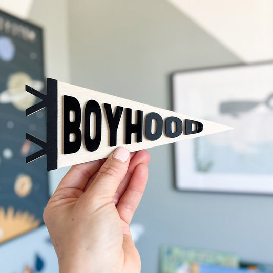 Boyhood Mini Pennant