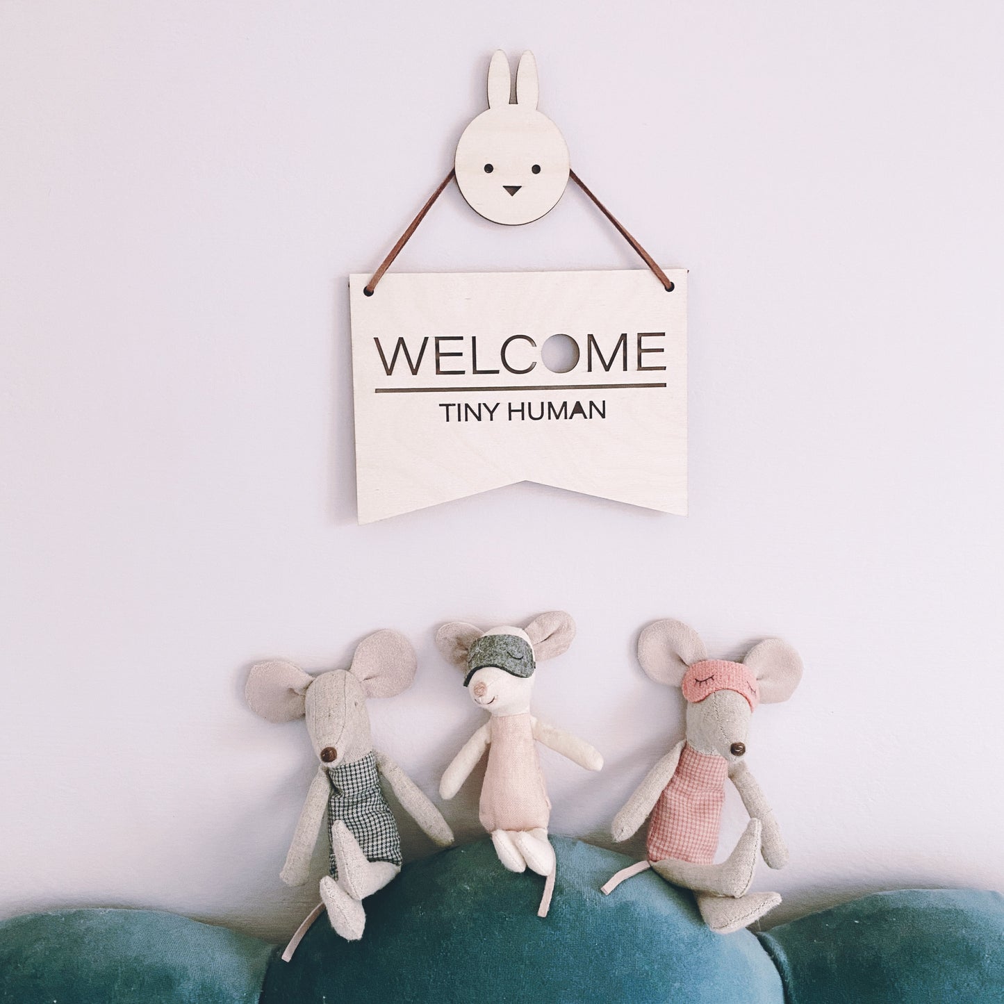 Welcome Tiny Human Plaque | Newborn Baby Gift